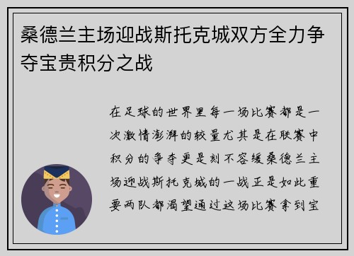 桑德兰主场迎战斯托克城双方全力争夺宝贵积分之战